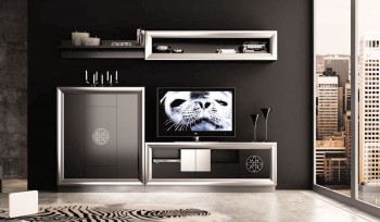 Modern Matte Black and Silver Living Room Wall Unit and Entertainment Center