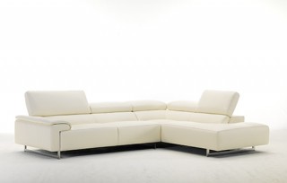 Luxurious Full Leather Sectional with Chaise