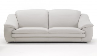 Contemporary Leather Sofa Set with Padded Arms and Cushions