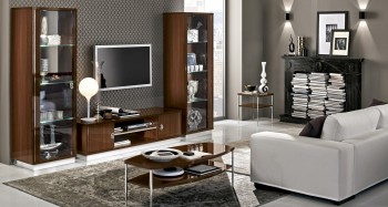 Contemporary Wall Unit with Glass Shelves