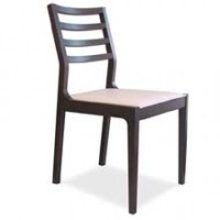 Elegant Echo Leather Dining Chair
