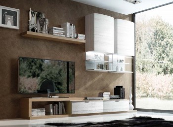 Elite White with Natural Wood Color Wall Unit