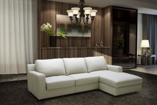 Unique Sofa Bed Sectional with Chaise