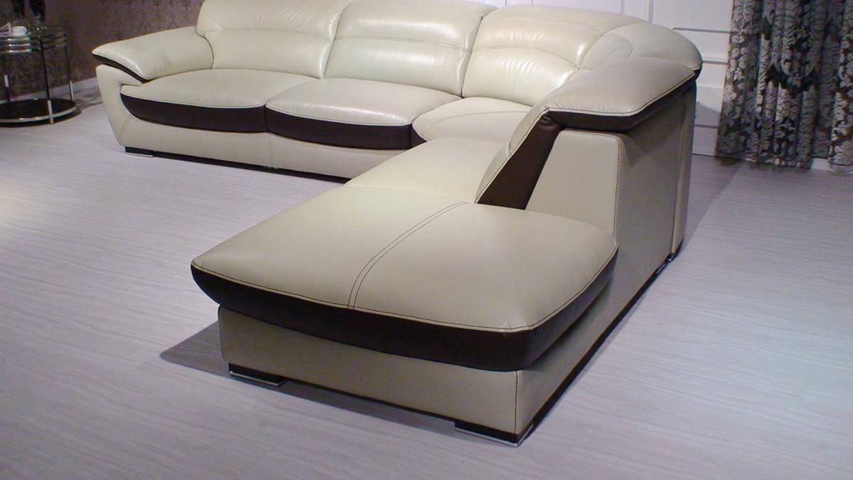 Adjustable Advanced Modern Leather L-shape Sectional - Click Image to Close