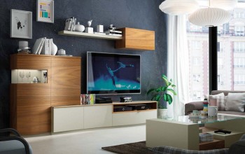 Natural Wood Color Wall Unit with Entertainment Center