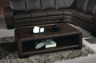 Adjustable Advanced Designer Half Leather Sectional