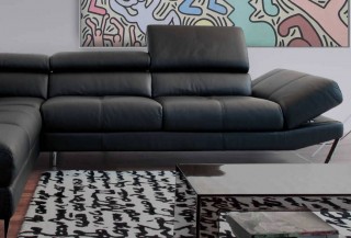 Exclusive Curved Sectional Sofa in Leather