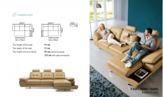 Sophisticated Designer All Leather Sectional