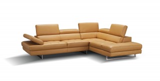 Elegant Modern Leather L-shape Sectional