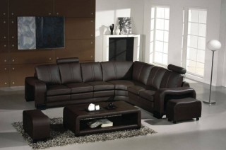 Adjustable Advanced Designer Half Leather Sectional