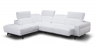 Graceful Leather Sectional with Chaise