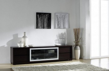 Ann Entertainment Unit with Movable Glass Doors and Drawers