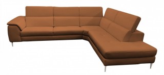 Unique Leather Sectional with Chaise