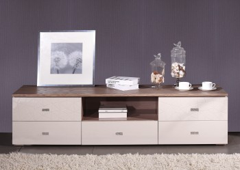 Contemporary TV Stand in High Gloss