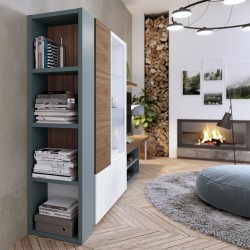 Modern Wall Unit with Blue White and Natural Wood Colors