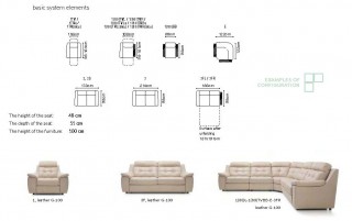 High End Curved Sectional Sofa in Leather
