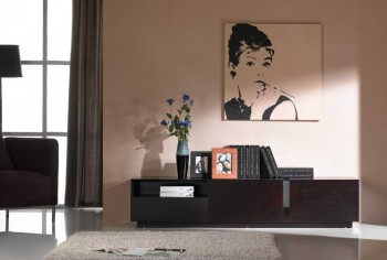 Contemporary TV Stand with Two Doors Contemporary TV Stand with Two Doors