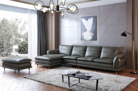 Contemporary Sectional in Top Grain Leather