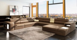 Exotic Half Leather Sectional with Chaise