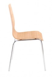 Tierra Chair with Bent Wood Frame