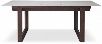 Wood Grain Dining Table with Frosted Top