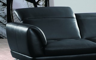 Exotic Half Leather Sectional with Chaise