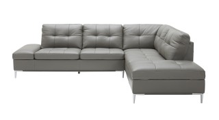 Sophisticated Leather Sectional with Chaise with Pillows