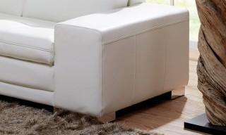 Stylish Tufted Modern Leather L-shape Sectional