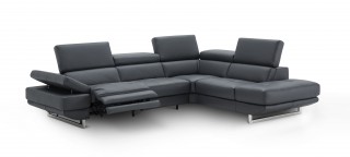 Adjustable Advanced Covered in Real Leather Sectional