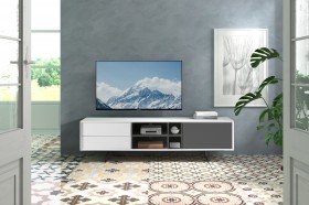 Elegant White with Gray Door TV Stand