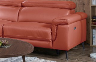 Elite Covered in Leather Sectional