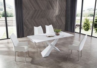 Contemporary Dining Set with Rectangular Top