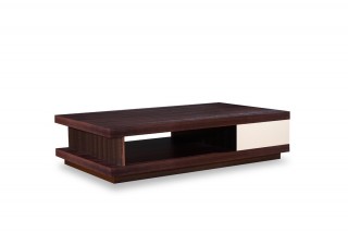 Modern Oak and Grey Gloss Coffee Table