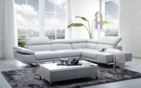 Contemporary Quality Leather L-shape Sectional