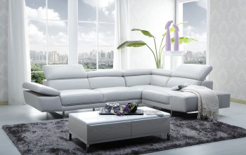 Contemporary Quality Leather L-shape Sectional