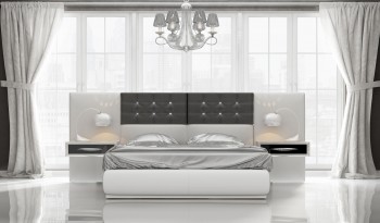 Overnice Leather Modern Platform Bed