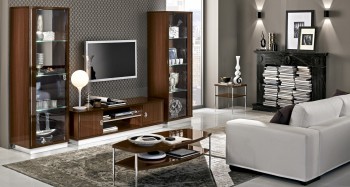 Contemporary Wall Unit with Glass Shelves Contemporary Wall Unit with Glass Shelves