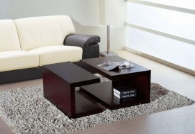 Coffee Table Set in Wenge Finish