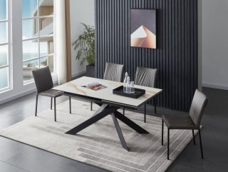 Exquisite Rectangular Leather Modern Dining Set