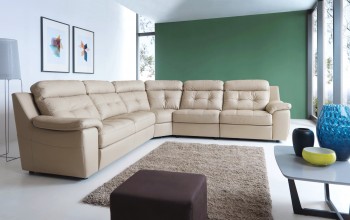 High End Curved Sectional Sofa in Leather