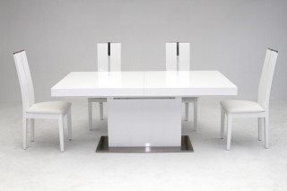 Elegant Stainless Steel Dining Set with High Gloss White Finish