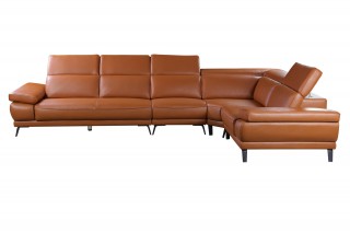 Elegant Top Grain Leather Sectional