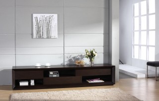 Contemporary Wenge Wood Finish TV Stand with Unique Storage Spaces