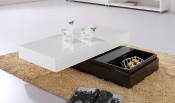 Contemporary Two-Tone Coffee Table with Storage