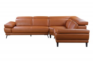 Elegant Top Grain Leather Sectional