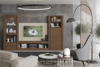 Incredible Wooden Wall Unit with Practical Interior