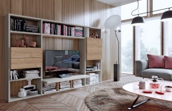 Spacious Natural Wood Wall Unit and Bookcase Spacious Natural Wood Wall Unit and Bookcase