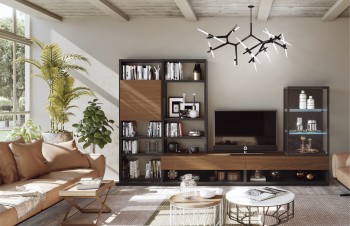 Modern Wall Unit with Natural Wood and Glass Shelves