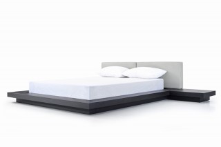 Sophisticated Leather Modern Platform Bed