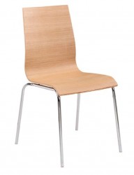 Tierra Chair with Bent Wood Frame